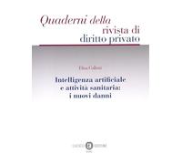 Intelligenza artificiale e attività sanitaria. I nuovi danni (Quaderni della rivista di diritto privato)