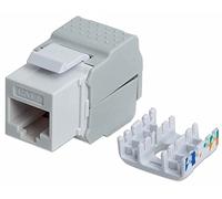Intellinet 167062 Cat6 Keystone Jack, UTP, blanco, sin herramientas