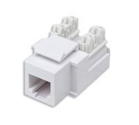 Intellinet 502795 Módulo keystone RJ11/12 blanco