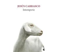 Intemperie: Toda una vida por delante, no la malgastes odiando (Novela)