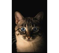 Intense Kitty Journal - For Fierce Thoughts & Purr-sonal Reflections , 6x9, 100 pages, Makes a thoughtful gift for all the cat lovers in your life.: ... kitty energy. , channel your inner lion
