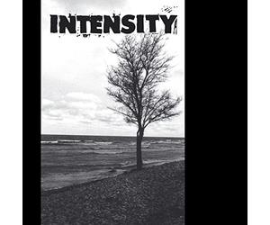 Intensity - Wash of the Lies