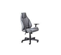 Inter Link - Silla de Oficina - Silla giratoria - Sillón de dirección - Regulación Continua en Altura - Respaldo ergonómico - Carga máx. 120 kg - Lysander
