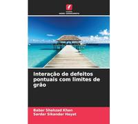 Interação de defeitos pontuais com limites de grão