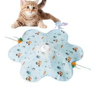 Interactive Cat Toy - Automatic Cat Toy, 3 Modes Rechargeable Fluttering Butterfly Teaser, Indoor Kitten Exercise Kickers | For Apartment Home Bedroom Door Floor Scratch Play Travel