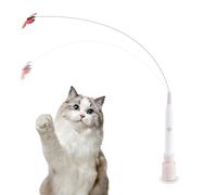 Interactive Cat Toy - Detachable 2 Pet Ejercicio Teaser Stick, Auto Swing Wand, Fun Play Accessory | Mediano, Grandes , Yardas, Porches, Jardines, Ceniza, Interior, Gatos, Ejercicio