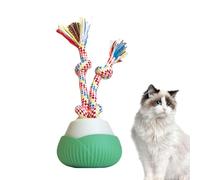 Interactive Dog Ball - Tipo C recargable Smart Pet Toy for Indoor Training, Outdoor Ejercise with Motion Activation, Voice Recording Feature, Moving Dog Toy for Mental Stimulation and Fun Floor Play