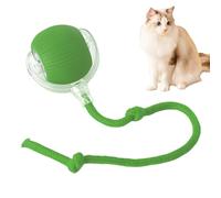 Interactive Rolling Cat Dog Ball, Shaky Ball for Dogs, Generation Interactive Toys for Puppy/Small/Medium/Large Dogs,Interactive Dog Ball Moving/Bouncing/Rolling Ball, 60° Smart Rolling Ball