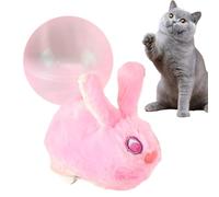 Interactivo Destinado Al Gato En Forma De Pelota, Inteligente Recargable,Bola Recargable para Entretenimiento - Destinado A para El Juego En Interior, Ejercicio, Divertissemen