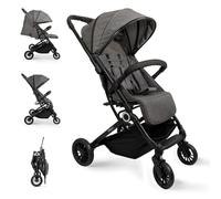 Interbaby - Silla de Paseo Voyage | Carrito Bebe desde Nacimiento hasta 48 meses o 22 kg | Botón Plegado rápido, Amortiguadores, Capota XXL Intercambiable, Reposabrazos | Cochecito bebe Gris