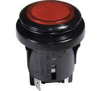 InterBaer - Interruptor de presión (250 V/CA, 16 A, 2 apagados/encendidos, IP65, 1 unidad)