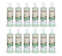 Intercabo - Pack de 12 dispensadores de champú - Champu Aloe vera - Champu 500ml - Shampoo - Amenities hotel - Dispensador Champu para hotel - Shampoo 500ml - Cuida y Revitaliza tu Cabello