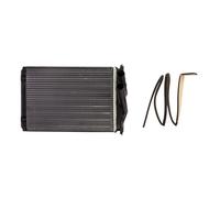 Calefactor D6Y004TT THERMOTEC para CHRYSLER VISION 300M