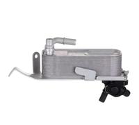 Intercambiador de calor del enfriador de aceite de transmisión 17217600553, compatible con BMW F20 116 118120125 F22 220228 F30 F34 320328 F36 420 N13