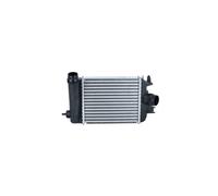 Intercooler 255MM-217MM NRF Apto para U.a. ca de Renault