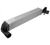 Intercooler Aluminio CNG-AU-033 NTY