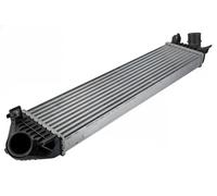 Intercooler Aluminio CNG-FR-027 NTY