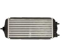 Intercooler THERMOTEC DA05009TT