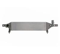 Intercooler Aluminio DA1004TT THERMOTEC para NISSAN QASHQAI / QASHQAI +2 I
