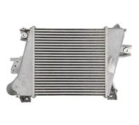 Intercooler THERMOTEC DA1011TT