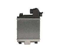 Intercooler THERMOTEC DA2004TT