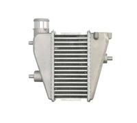 Intercooler THERMOTEC DA4001TT