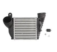 Intercooler THERMOTEC DAA009TT