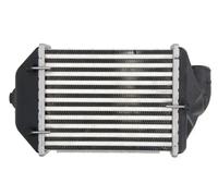 Intercooler Aluminio DAA028TT THERMOTEC para AUDI A4 B5 A4 B5 Avant A6 C5 Avant