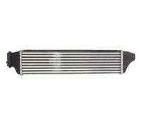Intercooler THERMOTEC DAB004TT