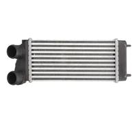 Intercooler THERMOTEC DAC004TT