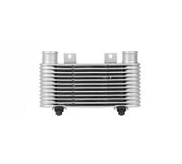 Intercooler Aluminio MZ4239 AVA QUALITY COOLING para MAZDA FORD