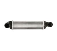 NISSENS 96129 Intercooler