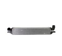 NISSENS 96625 Intercooler