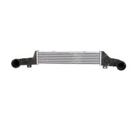 Intercooler NRF 30420