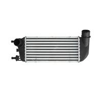 Intercooler NRF 30773