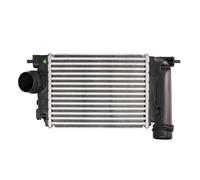 Intercooler NRF 30973