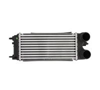 Intercooler NRF 30979