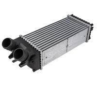 NTY Intercooler Para Citroën Berlingo MF 1.6 HDi 90 Xsara Picasso N68 M_