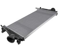 Intercooler Para Opel Insignia A G09 1.6 Cdti 15-17 Aut A/C + -