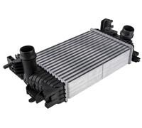 Intercooler Para Opel Meriva B Van 13-17 1.6 Cdti Diesel