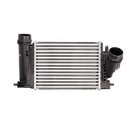 Intercooler THERMOTEC DA1005TT