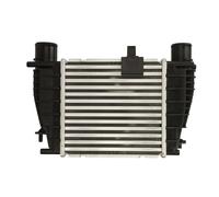 Intercooler THERMOTEC DA1008TT