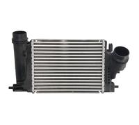 Intercooler THERMOTEC DA1009TT