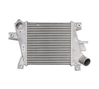 Intercooler Aluminio DA1011TT THERMOTEC para NISSAN X-TRAIL I
