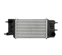 Intercooler THERMOTEC DA1013TT