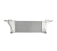 Intercooler THERMOTEC DA1015TT