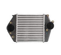 Intercooler THERMOTEC DA3002TT