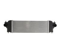 Intercooler THERMOTEC DA8001TT