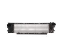 Intercooler THERMOTEC DAB010TT