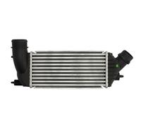 Intercooler THERMOTEC DAC011TT